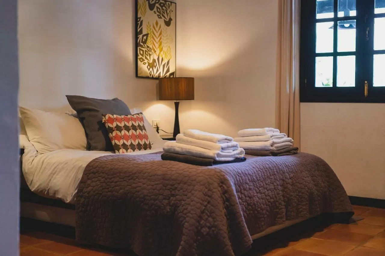 Guest house Finca Malvasia Vineyard Tias Spain