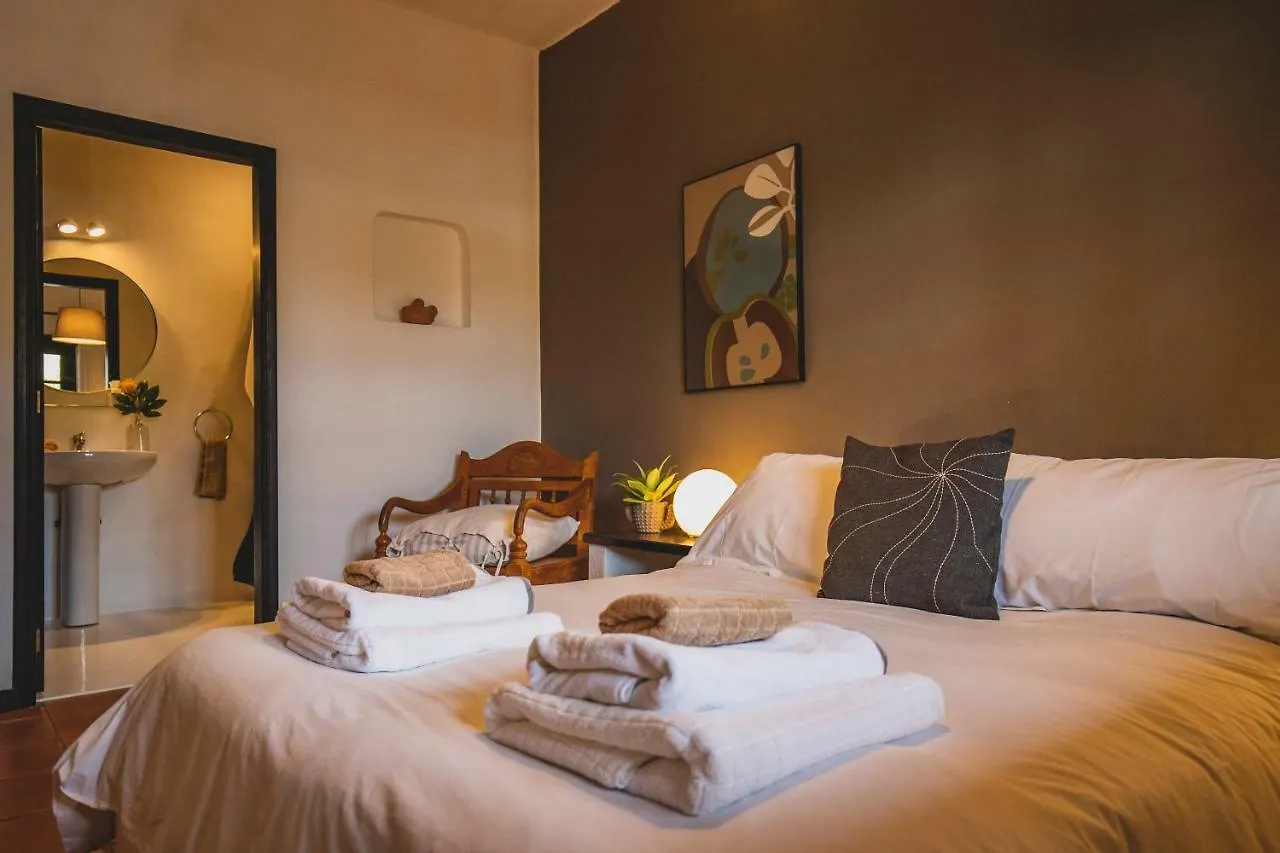 Guest house Finca Malvasia Vineyard Tias Spain